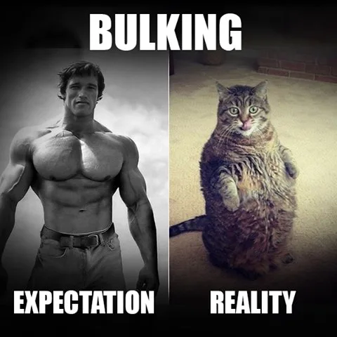 Expectation vs. Reality