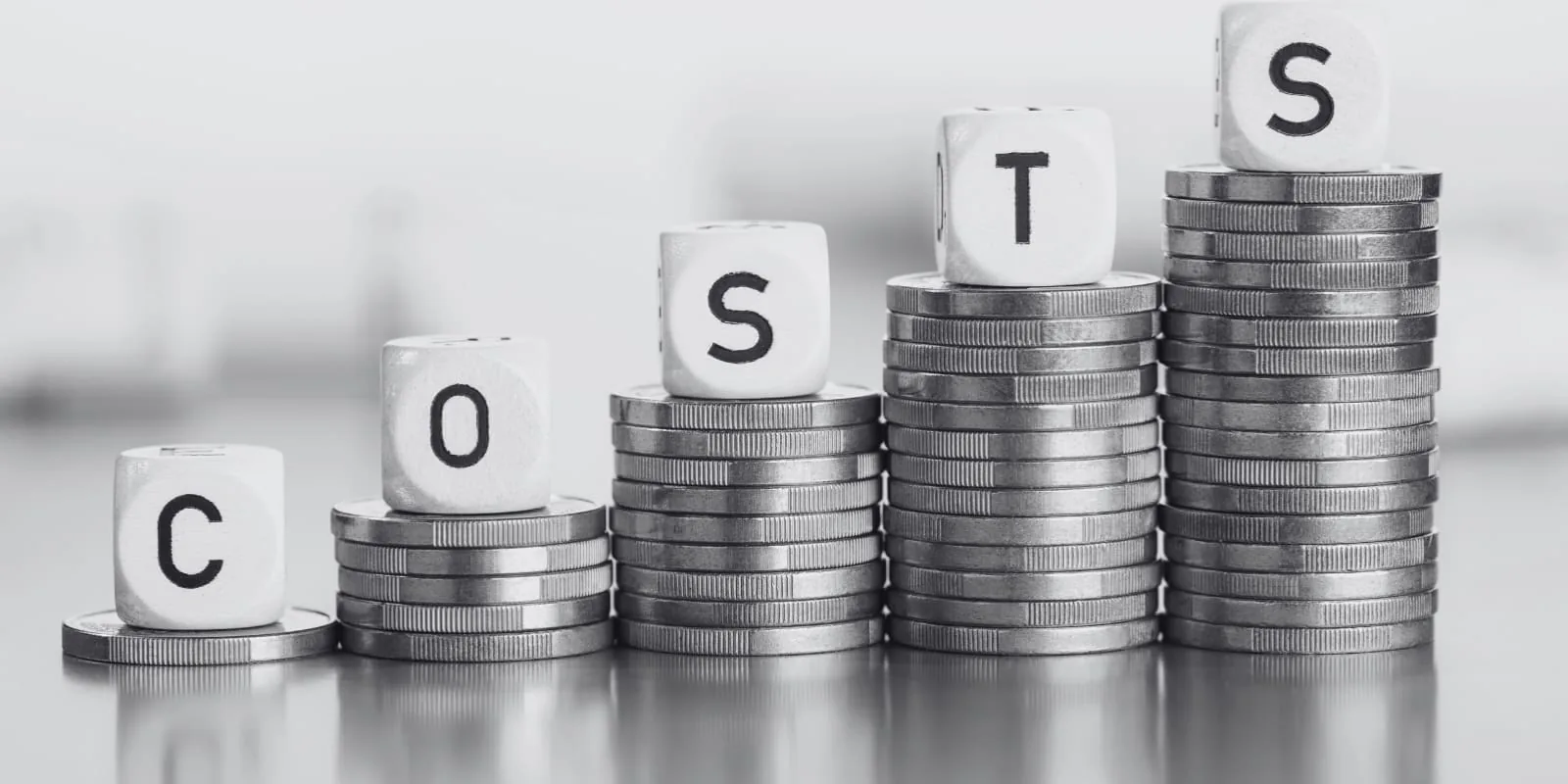 What Software Actually Costs
